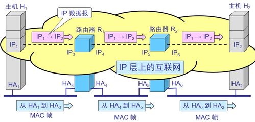网络层 计算机网络系统工程服务的核心架构