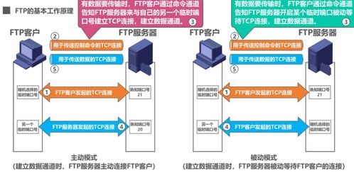 计算机网络系统工程服务 应用层的关键角色与实施策略